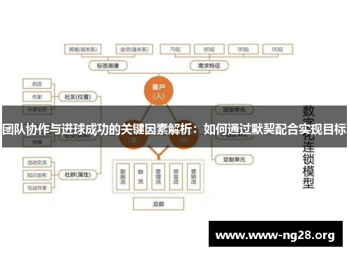团队协作与进球成功的关键因素解析：如何通过默契配合实现目标