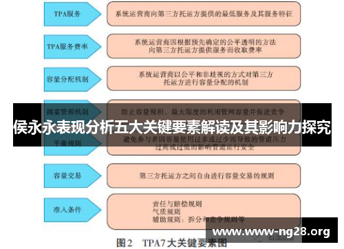 侯永永表现分析五大关键要素解读及其影响力探究