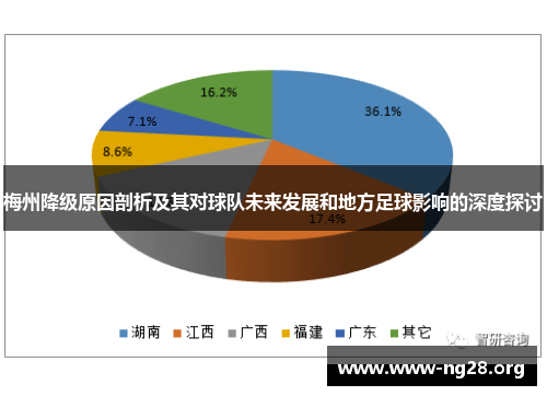 梅州降级原因剖析及其对球队未来发展和地方足球影响的深度探讨
