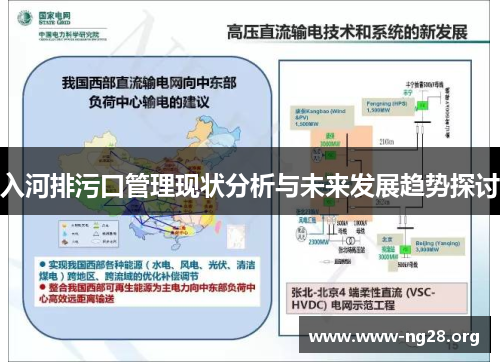 入河排污口管理现状分析与未来发展趋势探讨
