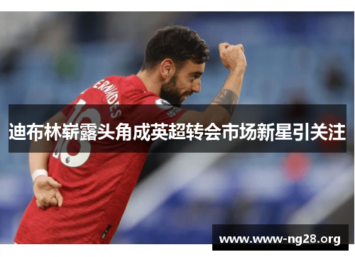 迪布林崭露头角成英超转会市场新星引关注