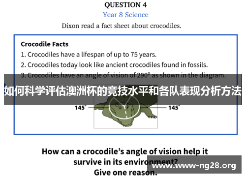 如何科学评估澳洲杯的竞技水平和各队表现分析方法